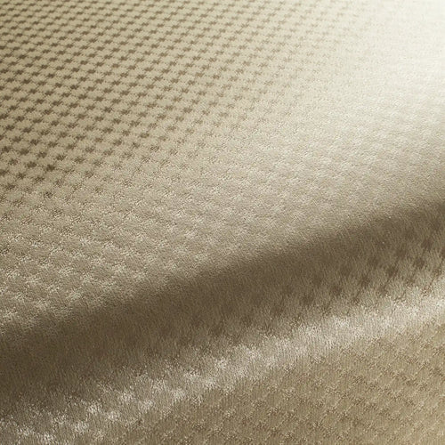 1-3129_031