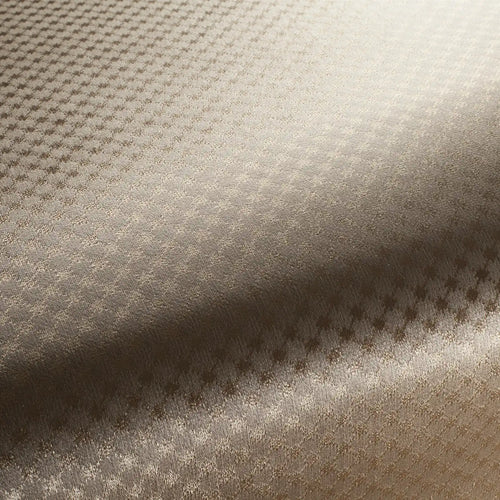 Lorenzo 1-3129