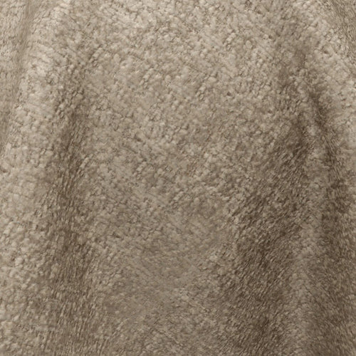 Brigadier_08-Fossil