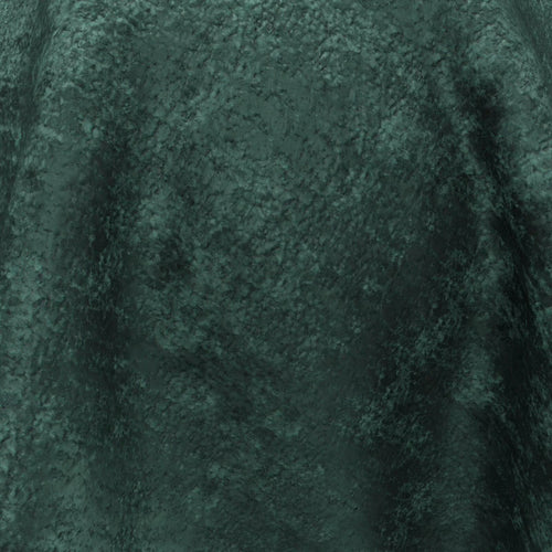 Brigadier_22-Peacock