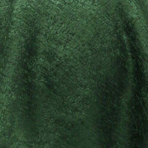 Brigadier_23-Pine