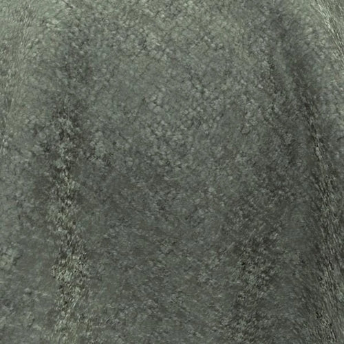 Brigadier_50-Sycamore
