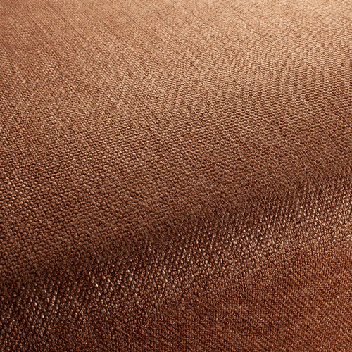 CA1568_021