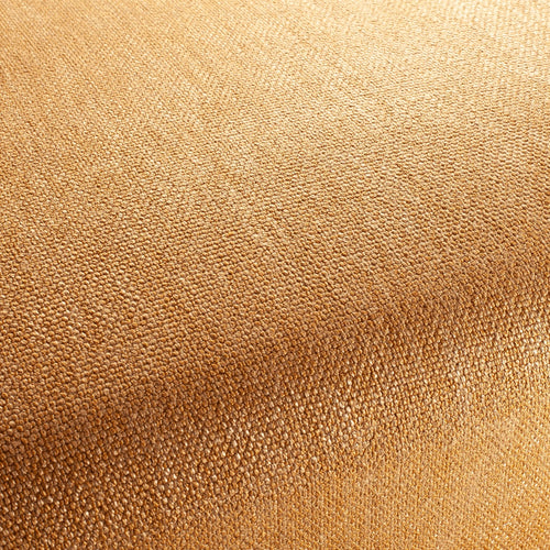 CA1568_040