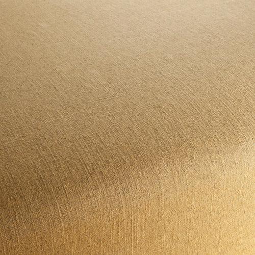 CA1681_047