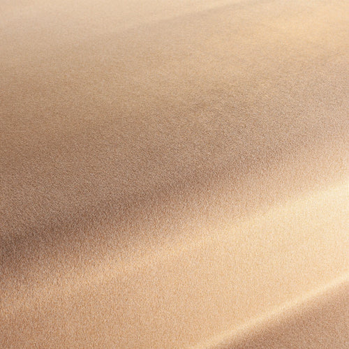 CA1833_020
