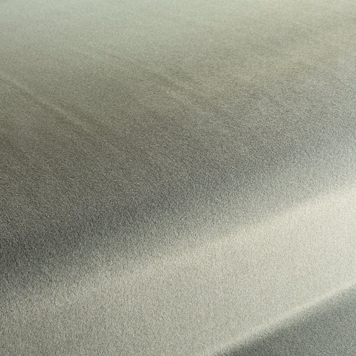 CA1833_031