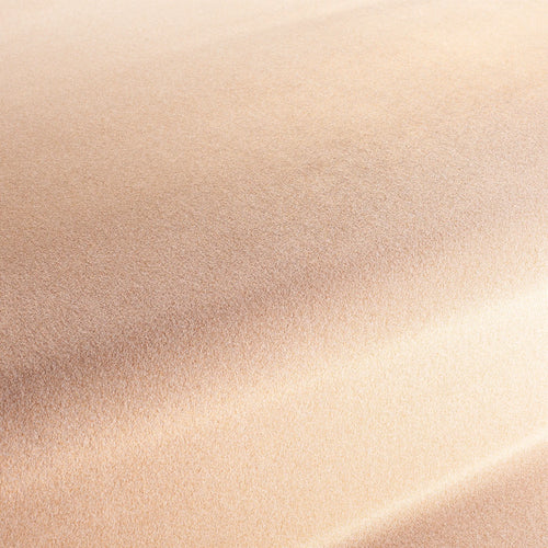 CA1833_060