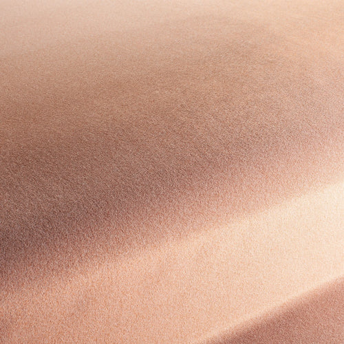 CA1833_061