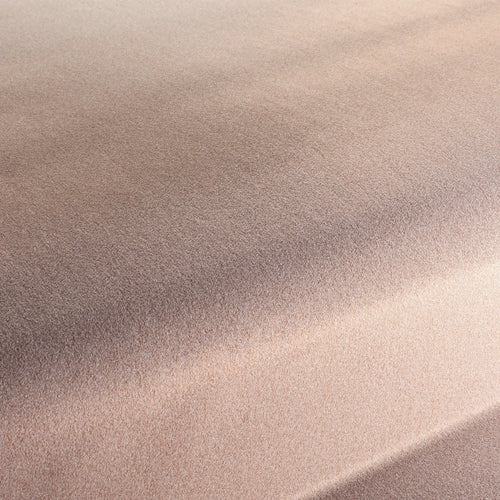 CA1833_062