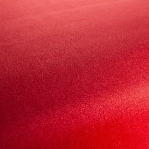 CH3234_010_emotion