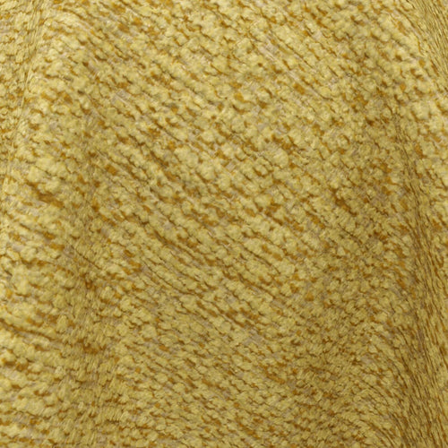 Cuddly_21-Gold