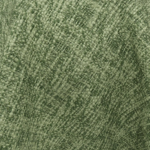 Earthwild_09-Kiwi