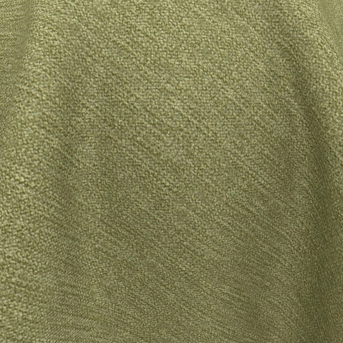 Impact_22-Fern