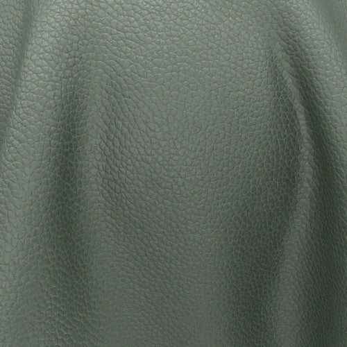 Integra_30-Turtle