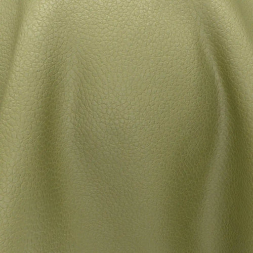 Integra_31-Lizard