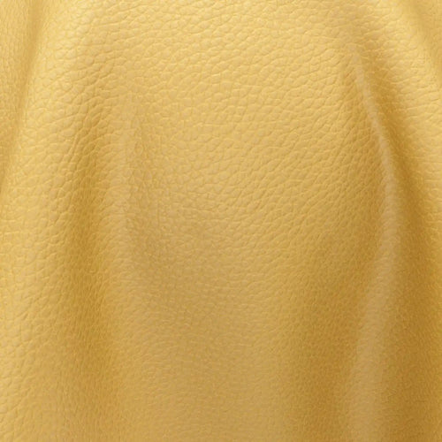 Integra_32-Honey