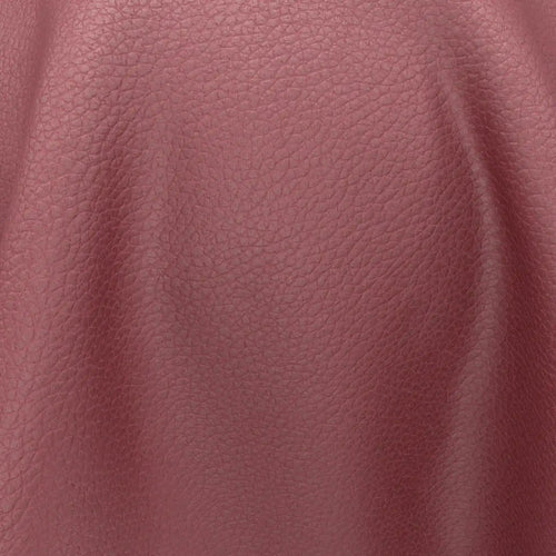 Integra_35-Raspberry