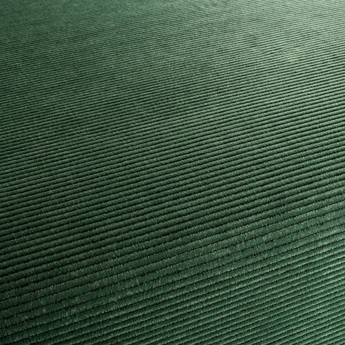 JA1030_033