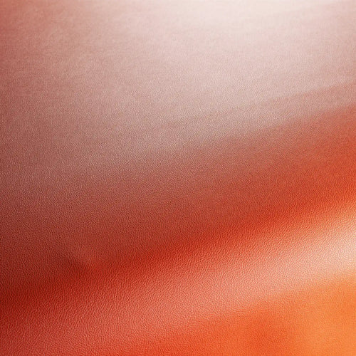 JA1050_064