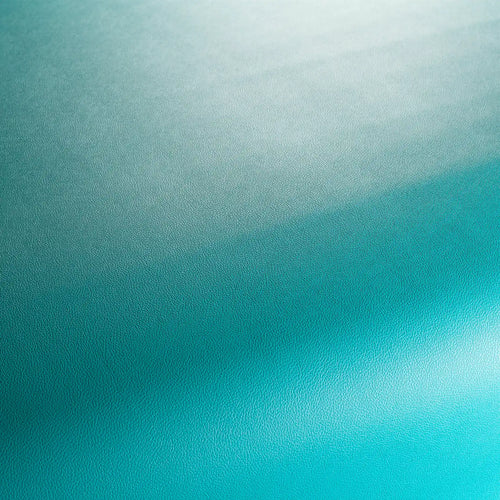 JA1050_081