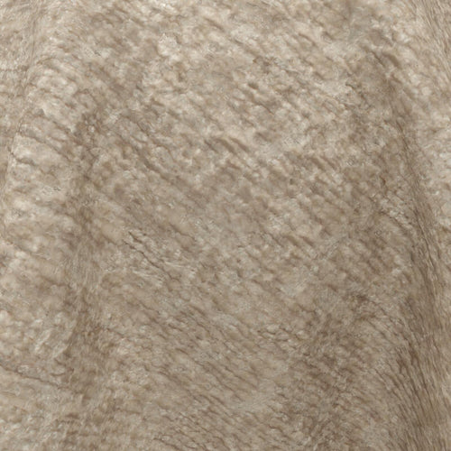 19-Fossil