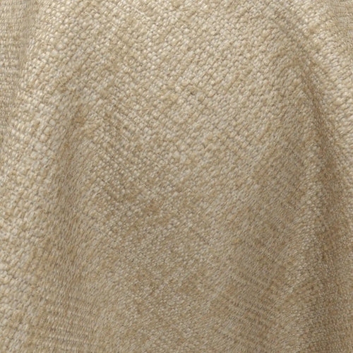 Omni_14-Sesame