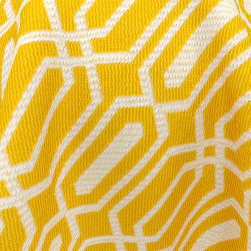 Poolside_Dive_05-Mimosa