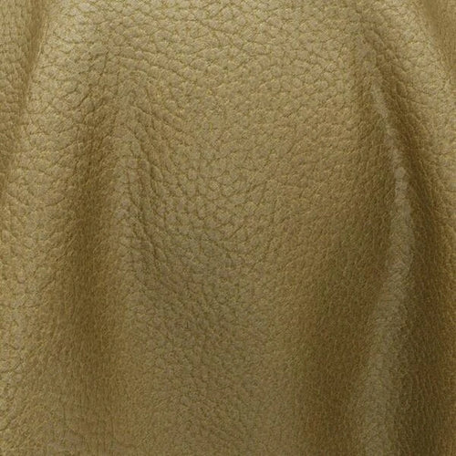 Ranch_26-Olive