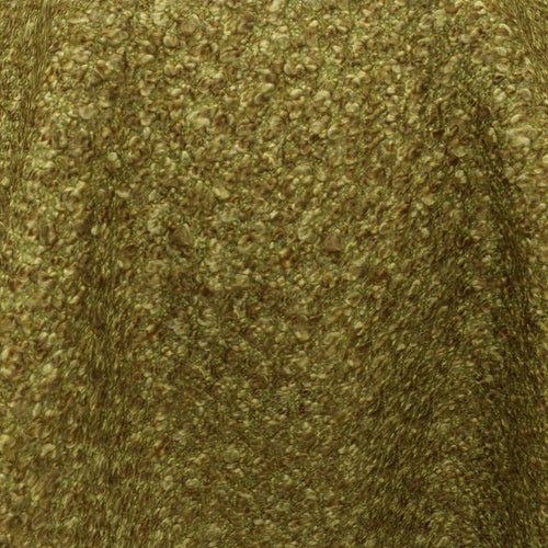 Raptor_20-Moss