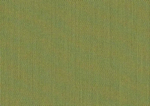 Solids_Lichen