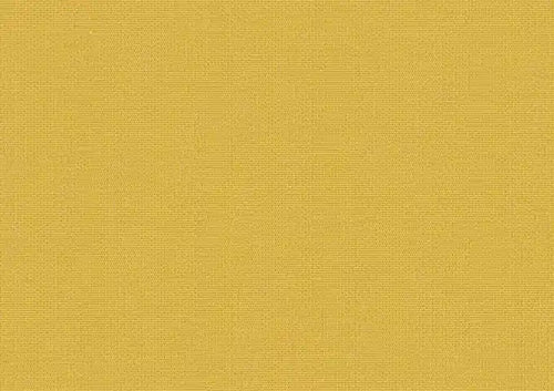 Solids_Mimosa