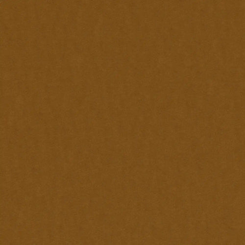 Supervio_12-Bronze