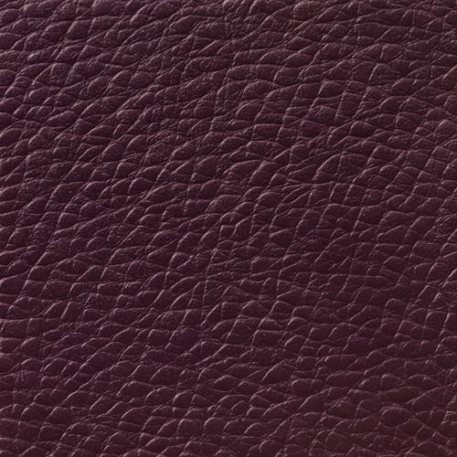 Aubergine 1300