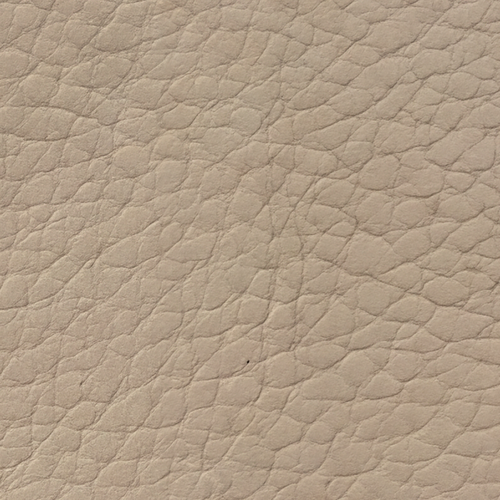 Beige 310