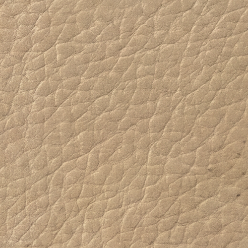 Beige 312