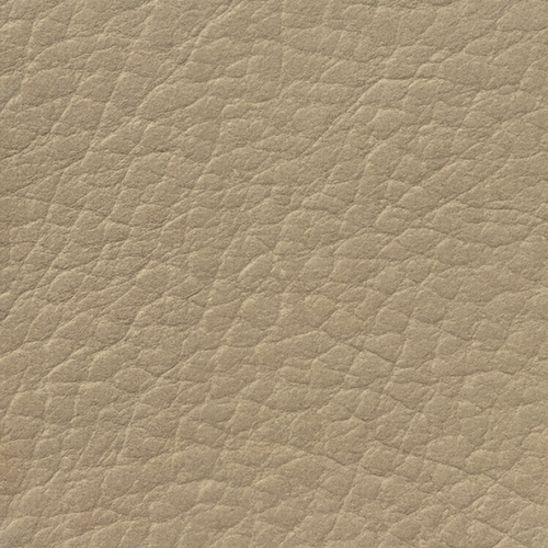 Beige 313