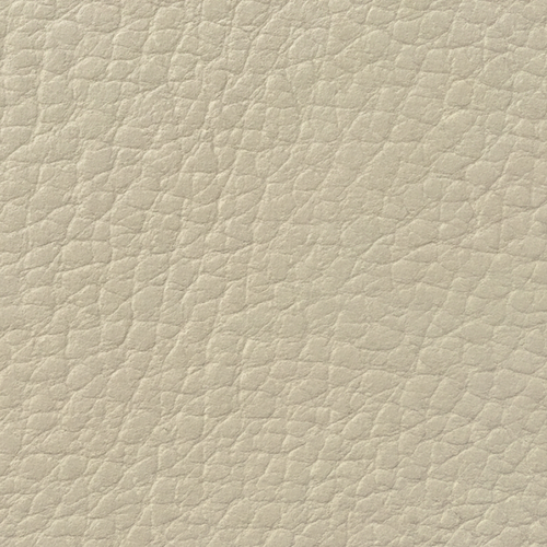Ivory 202