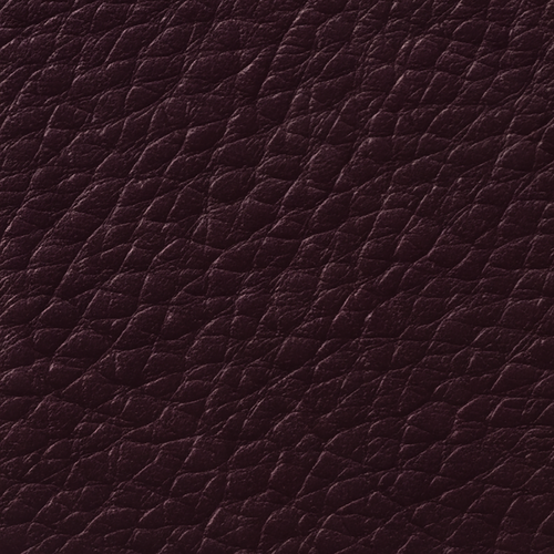 Raisin 1200