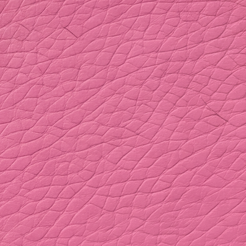 Rose 500