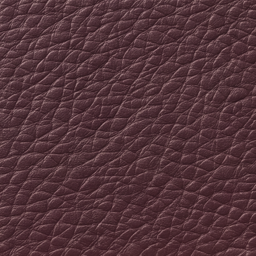 Violet 1200